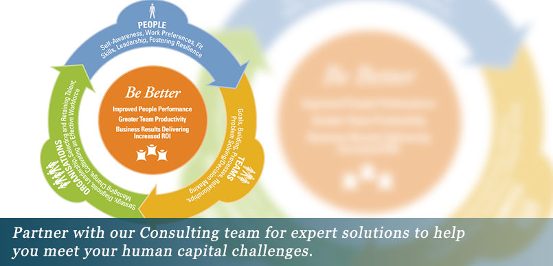 Partner with our consulting team
